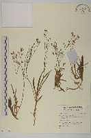 登錄號:S140146藏品圖，第1張