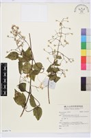 登錄號:S140178藏品圖，第1張