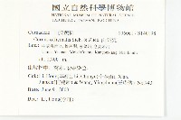 山茱萸藏品圖，第2張