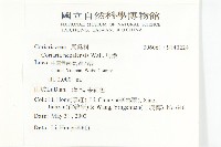 馬桑藏品圖，第2張