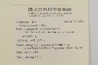 鬼針藏品圖，第2張