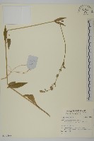 登錄號:S140266藏品圖，第1張