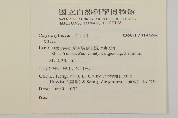 登錄號:S140266藏品圖，第2張