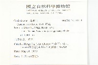 馬桑藏品圖，第2張