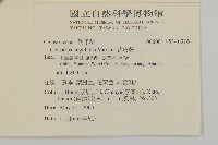 苦皮藤藏品圖，第2張