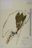 登錄號:S140356藏品圖，第1張