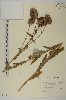 登錄號:S140434藏品圖，第1張