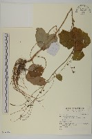 登錄號:S140452藏品圖，第1張