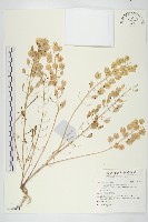 登錄號:S140461藏品圖，第1張