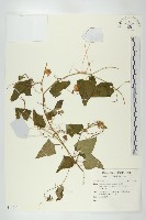 登錄號:S140471藏品圖，第1張