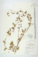 登錄號:S140523藏品圖，第1張