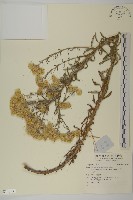 登錄號:S140537藏品圖，第1張