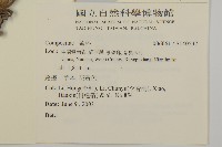 登錄號:S140537藏品圖，第2張