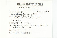 山茱萸藏品圖，第2張