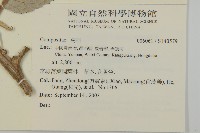 登錄號:S140579藏品圖，第2張