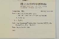 登錄號:S140580藏品圖，第2張