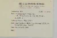 登錄號:S140589藏品圖，第2張