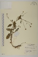 登錄號:S140594藏品圖，第1張