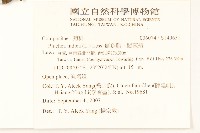 鯽魚膽、闊苞菊藏品圖，第2張