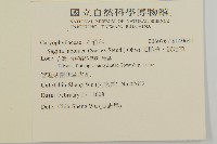 瓜槌草、漆姑草藏品圖，第2張