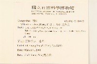 蔓澤蘭藏品圖，第2張