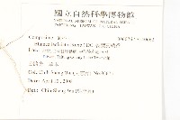 裂葉艾納香藏品圖，第2張