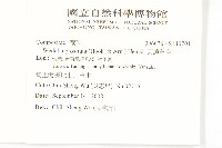 天蓬草舅藏品圖，第2張