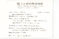 菟絲子藏品圖，第2張