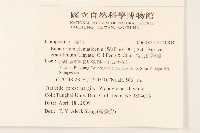 高士佛澤蘭藏品圖，第2張