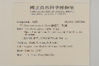 雞觴刺、島薊藏品圖，第2張