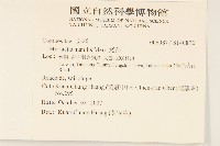 矮菊藏品圖，第2張