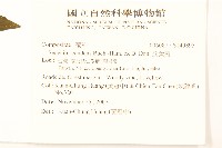 蔓黃菀藏品圖，第2張