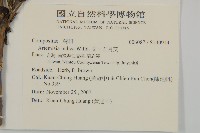 中南蒿藏品圖，第2張