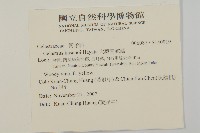 大葉南蛇藤藏品圖，第2張