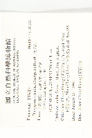 軟毛柿藏品圖，第2張