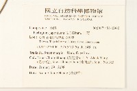 山菊藏品圖，第2張