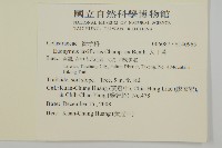 大丁黃藏品圖，第2張