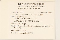 蔓澤蘭藏品圖，第2張