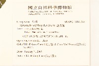 金腰箭藏品圖，第2張