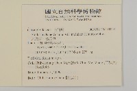 天蓬草、雀舌草藏品圖，第2張