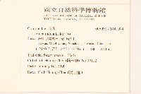 鵝仔草藏品圖，第2張