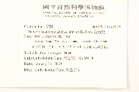 蔓黃菀藏品圖，第2張