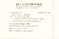 歐洲黃菀藏品圖，第2張