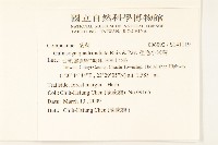 粗毛小米菊藏品圖，第2張