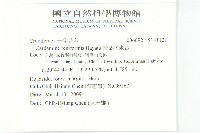 腎葉碎米薺藏品圖，第2張