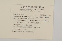 昭和草藏品圖，第2張