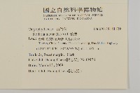 繁縷藏品圖，第2張