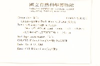 蔓黃菀藏品圖，第2張