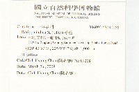 葶藶藏品圖，第2張