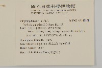 鵝兒腸藏品圖，第2張